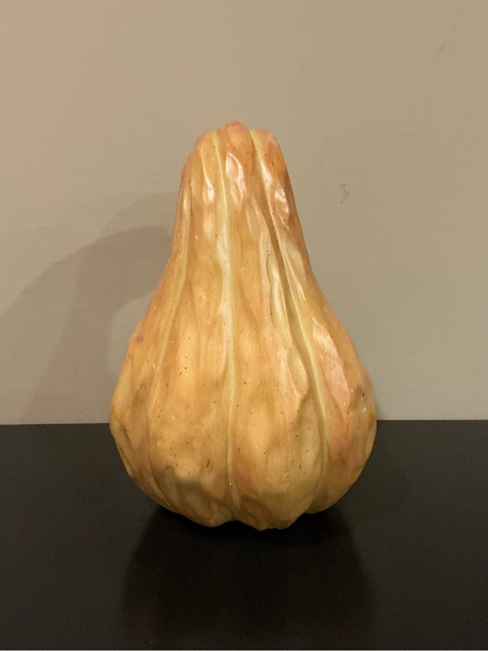 One Indoor/Outdoor Autumn Pumpkin Squash 🍂 - Picture 4 of 8